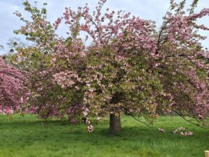 Marches du vendredi matin - Clamart Accueil