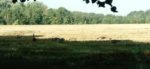 Retour sur des sorties 2021 - Clamart Accueil