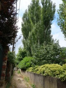 Journaux - Clamart Accueil